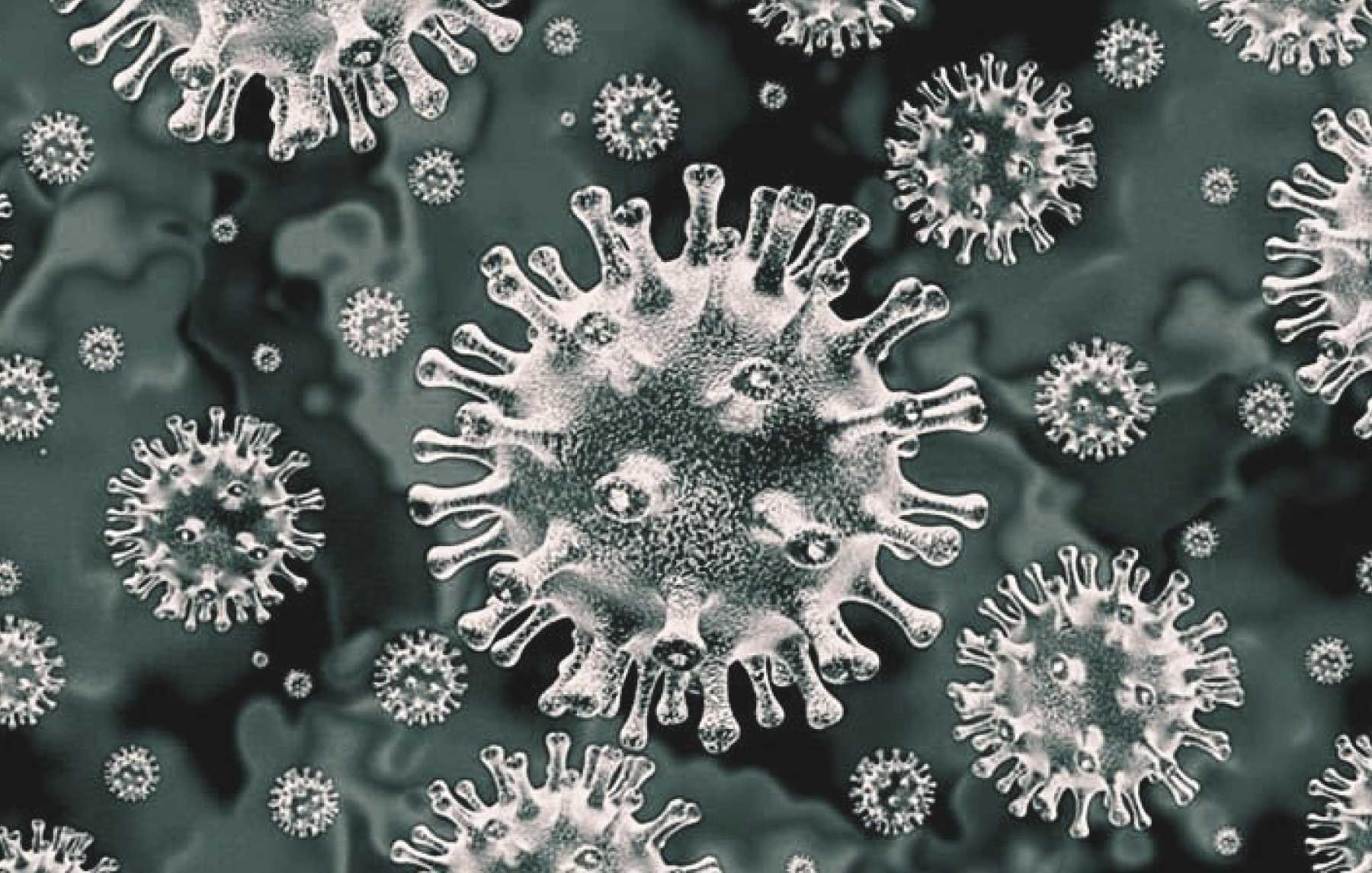 Black Fungus Infection Definition ,Symptoms, Prevention