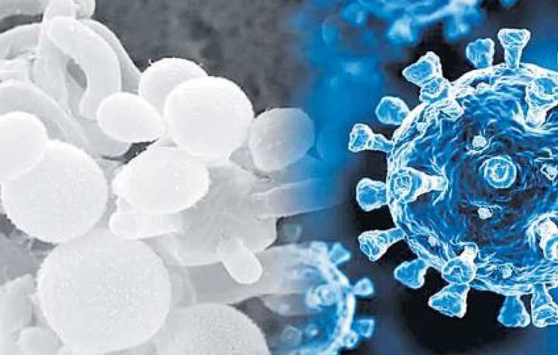 White Fungus Infection: Definition, Symptoms, Prevention