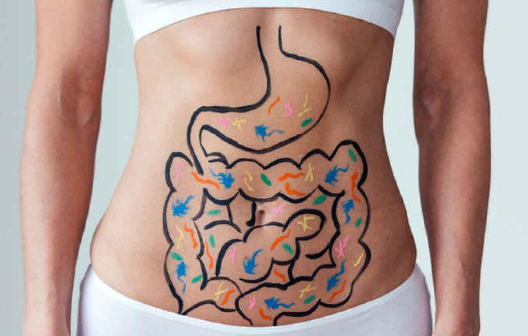 7 Important Functions Of Protein In Your Body