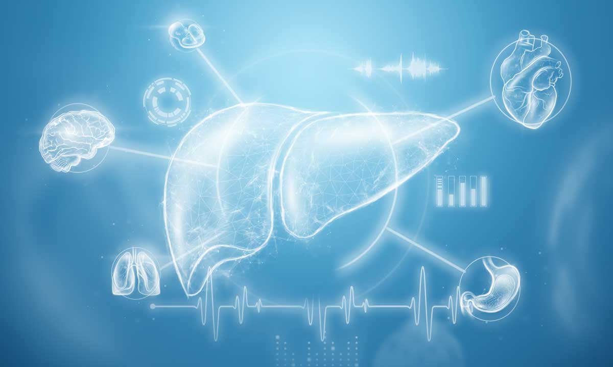 Hepatomegaly[Enlarged Liver]:Do You Know About It!