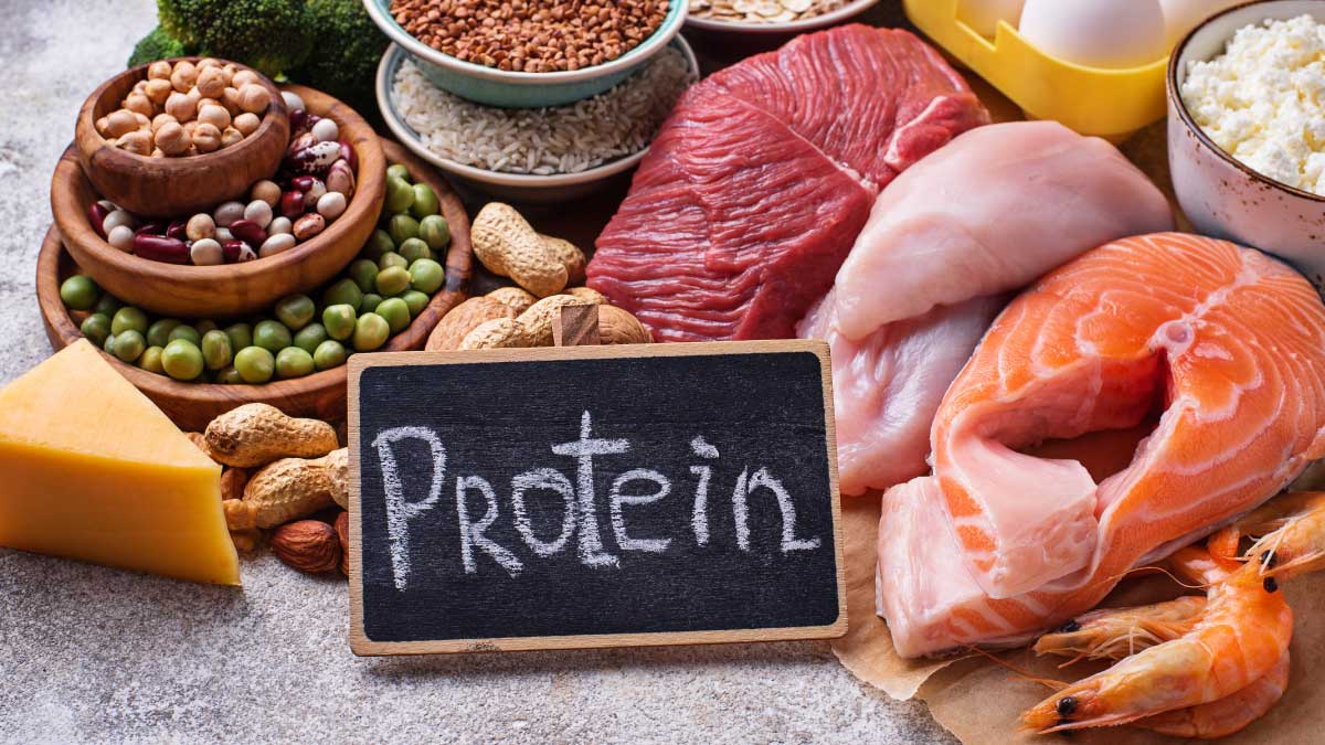 which basic taste attracts us to protein rich foods ? protein rich foods list & protein rich food for vegetarians