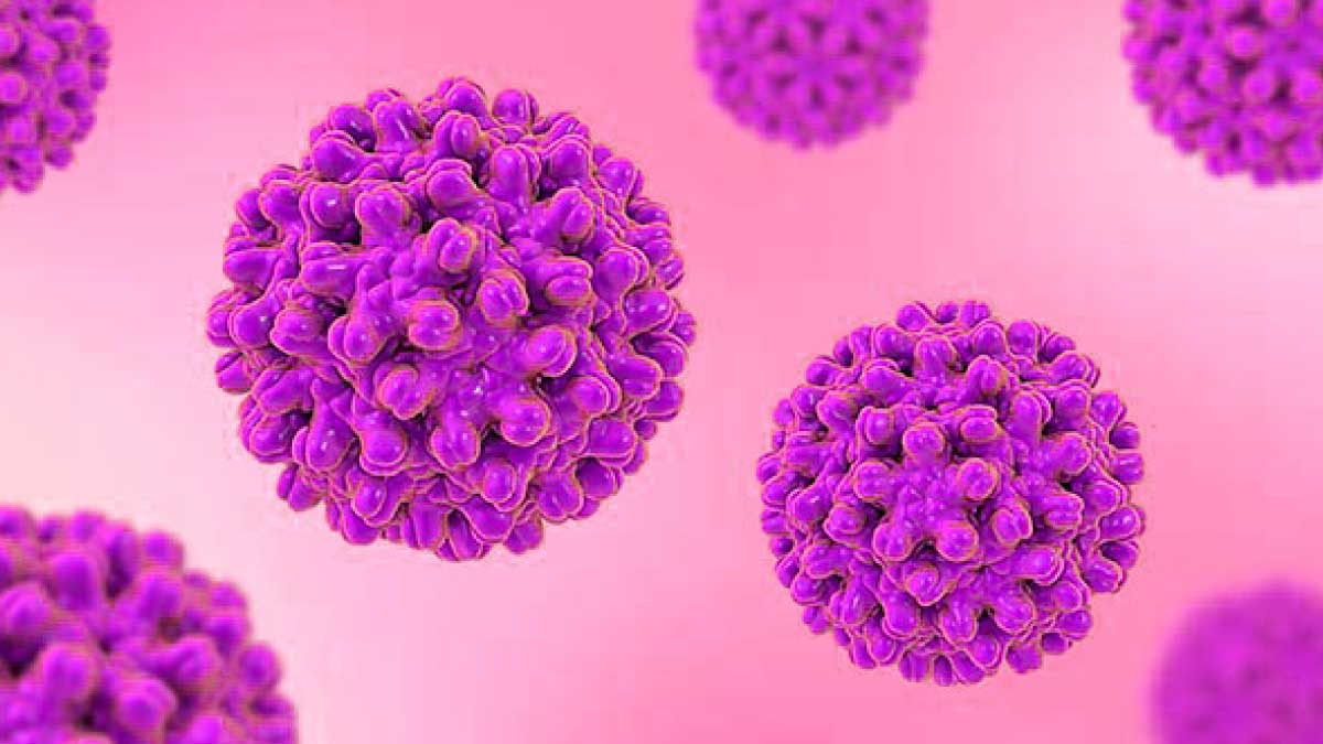 hepatitis b surface antibody,what is hepatitis B,hepatitis b symptoms,hepatitis b vaccine,HepatitisB